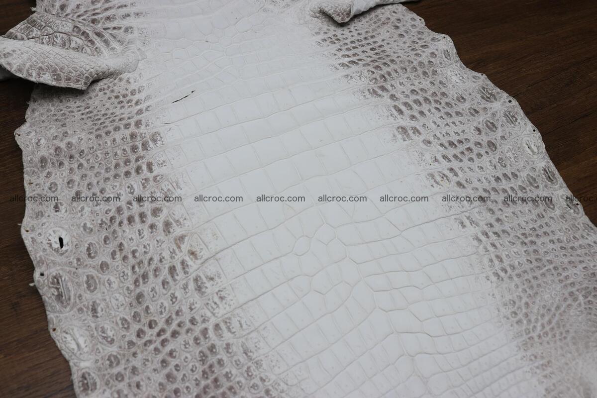 Crocodile skin belly himalayan color 1232 Foto 1