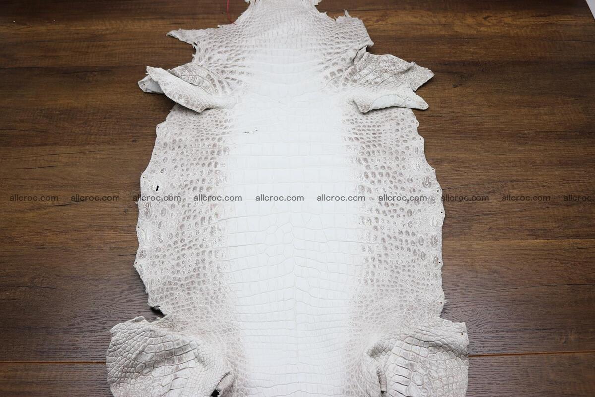 Crocodile skin belly himalayan color 1232 Foto 0