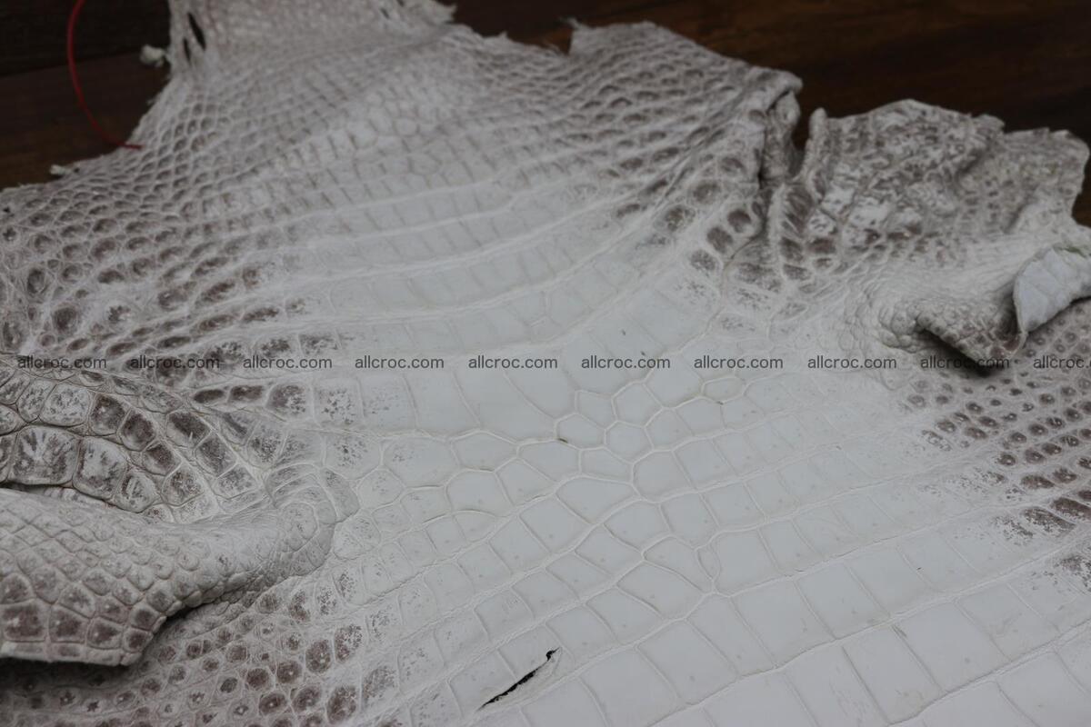 Crocodile skin belly himalayan color 1232 Foto 2