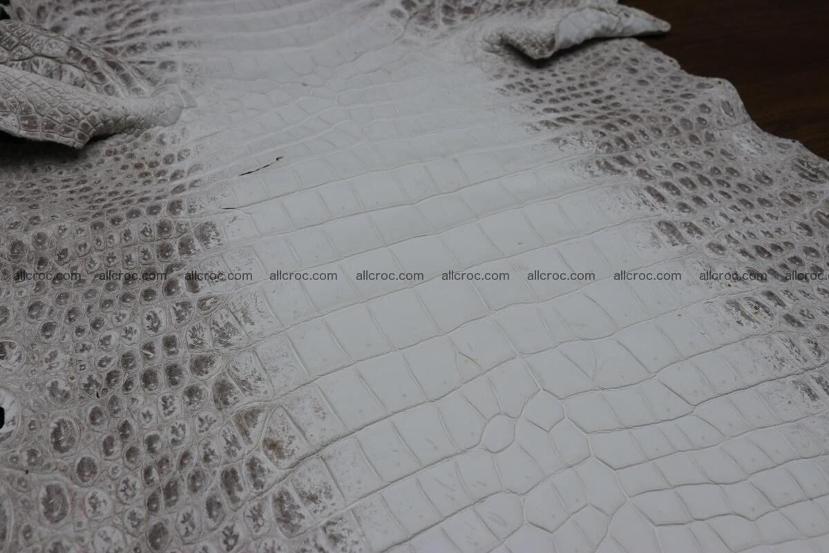 Crocodile skin belly himalayan color 1232 Foto 3