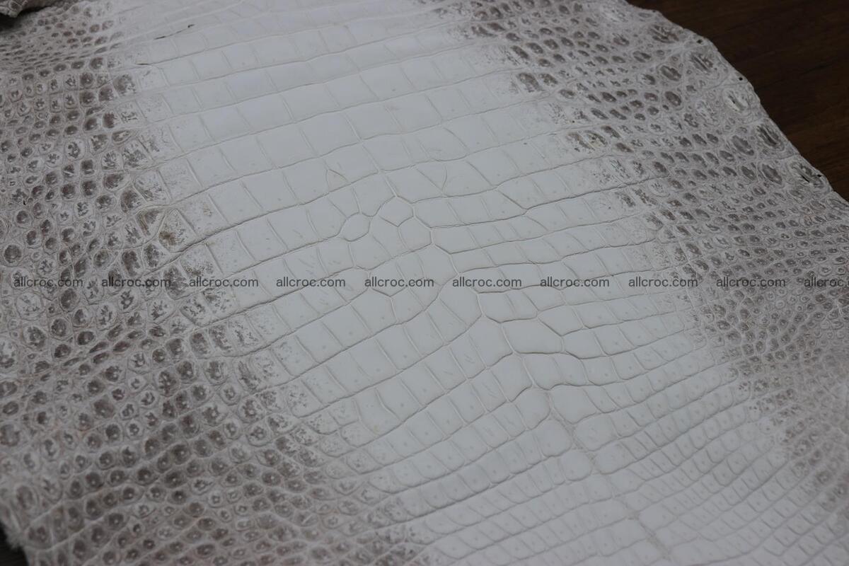 Crocodile skin belly himalayan color 1232 Foto 4