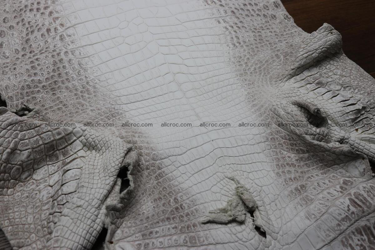Crocodile skin belly himalayan color 1232 Foto 5