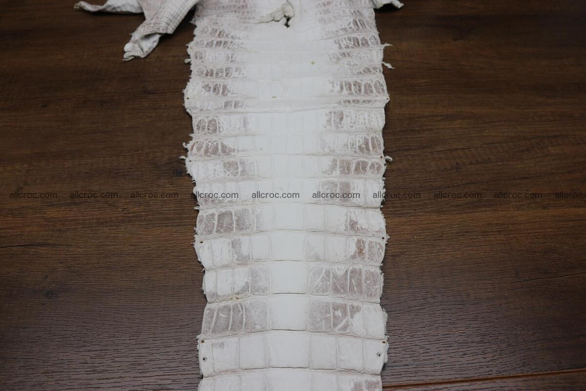 Crocodile skin belly himalayan color 1232 Foto 7
