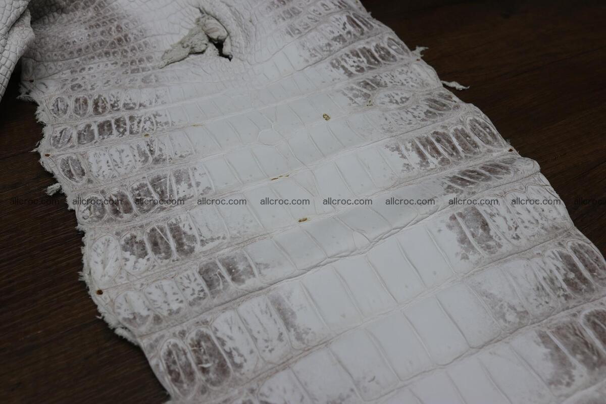 Crocodile skin belly himalayan color 1232 Foto 8