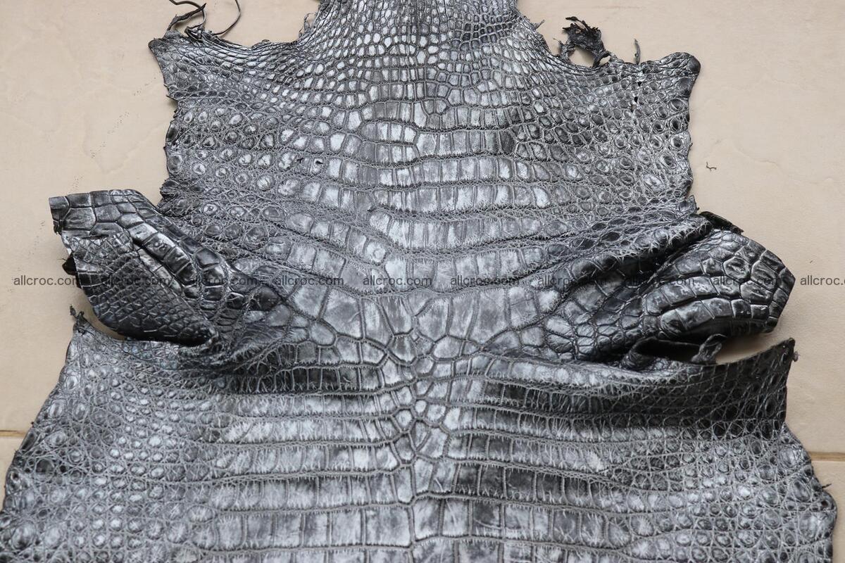 Crocodile skin belly part brush off silver color 1248 Foto 9