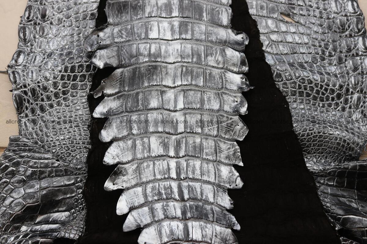 Crocodile skin belly part brush off silver color 1249 Foto 16