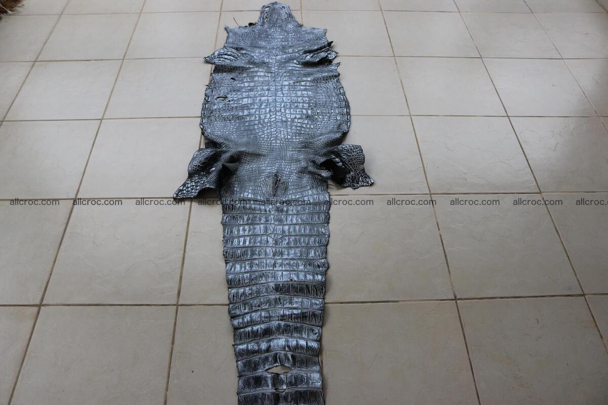 Crocodile skin belly part brush off silver color 1250 Foto 6