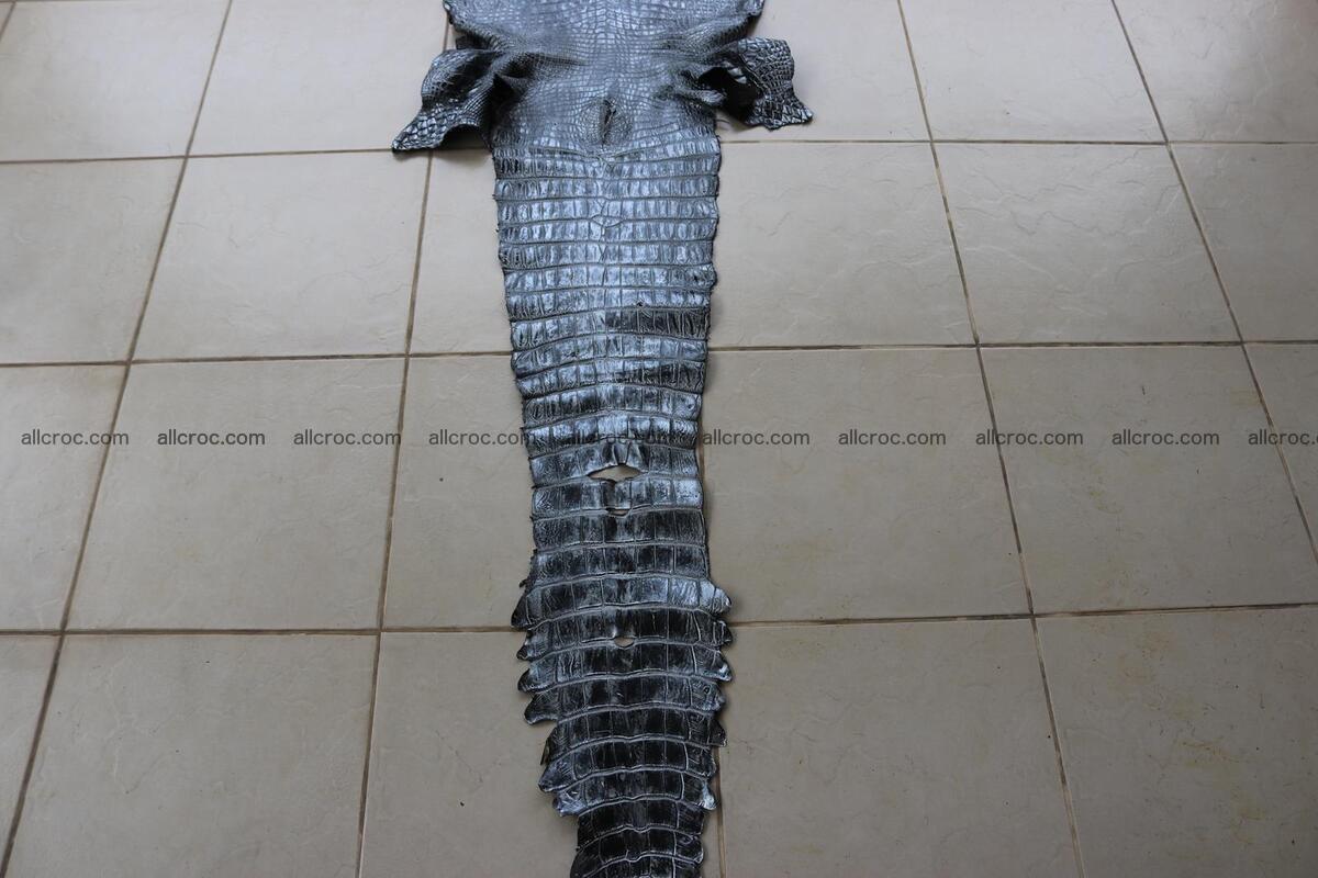 Crocodile skin belly part brush off silver color 1250 Foto 7