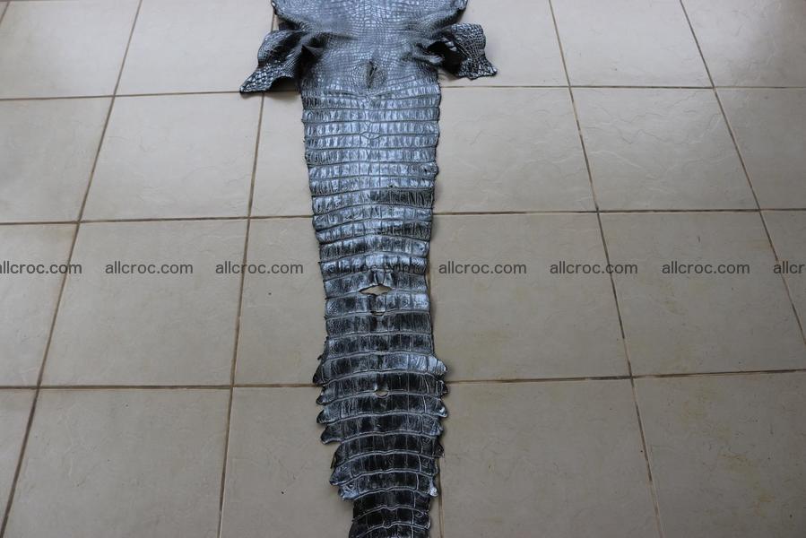 Crocodile skin belly part brush off silver color 1250