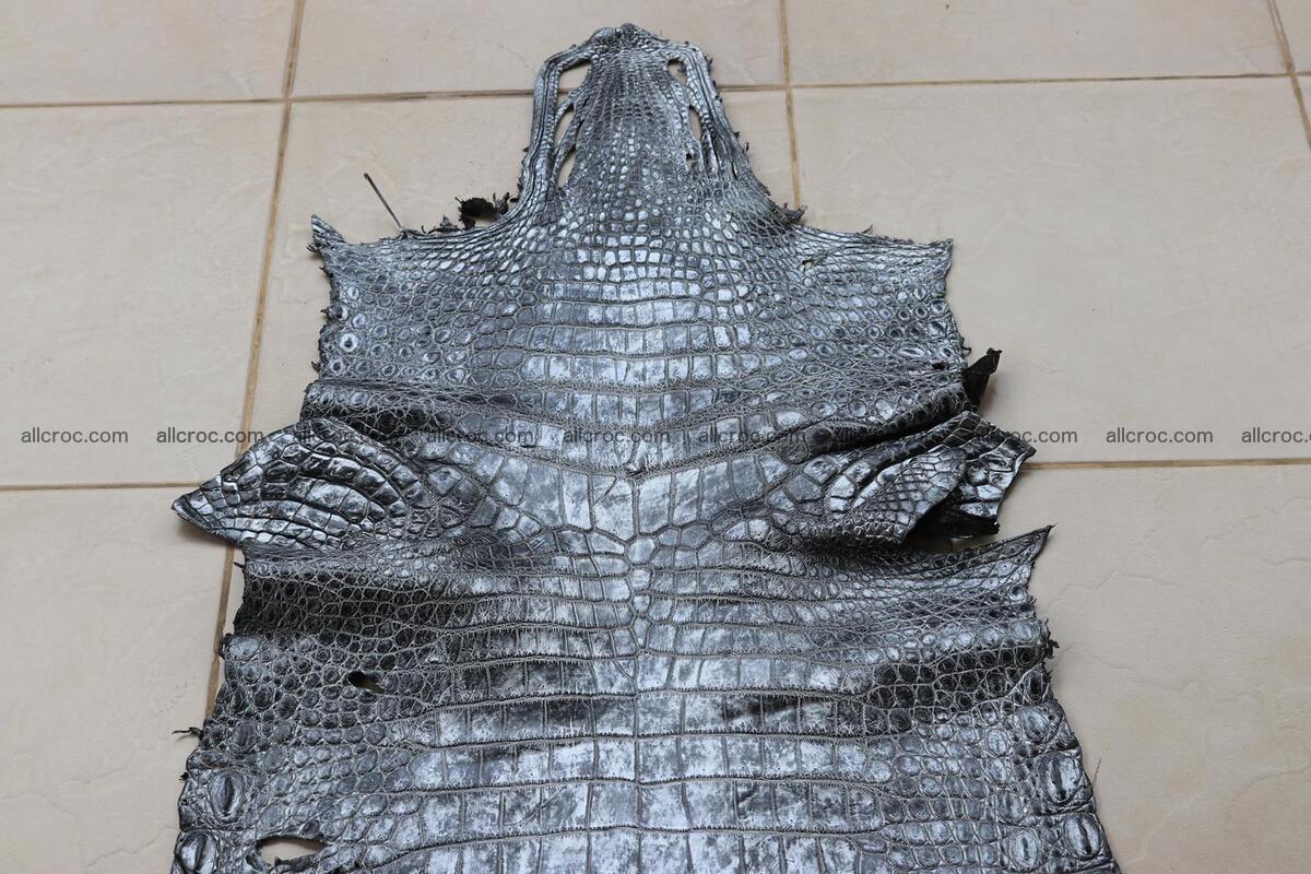 Crocodile skin belly part brush off silver color 1250 Foto 2