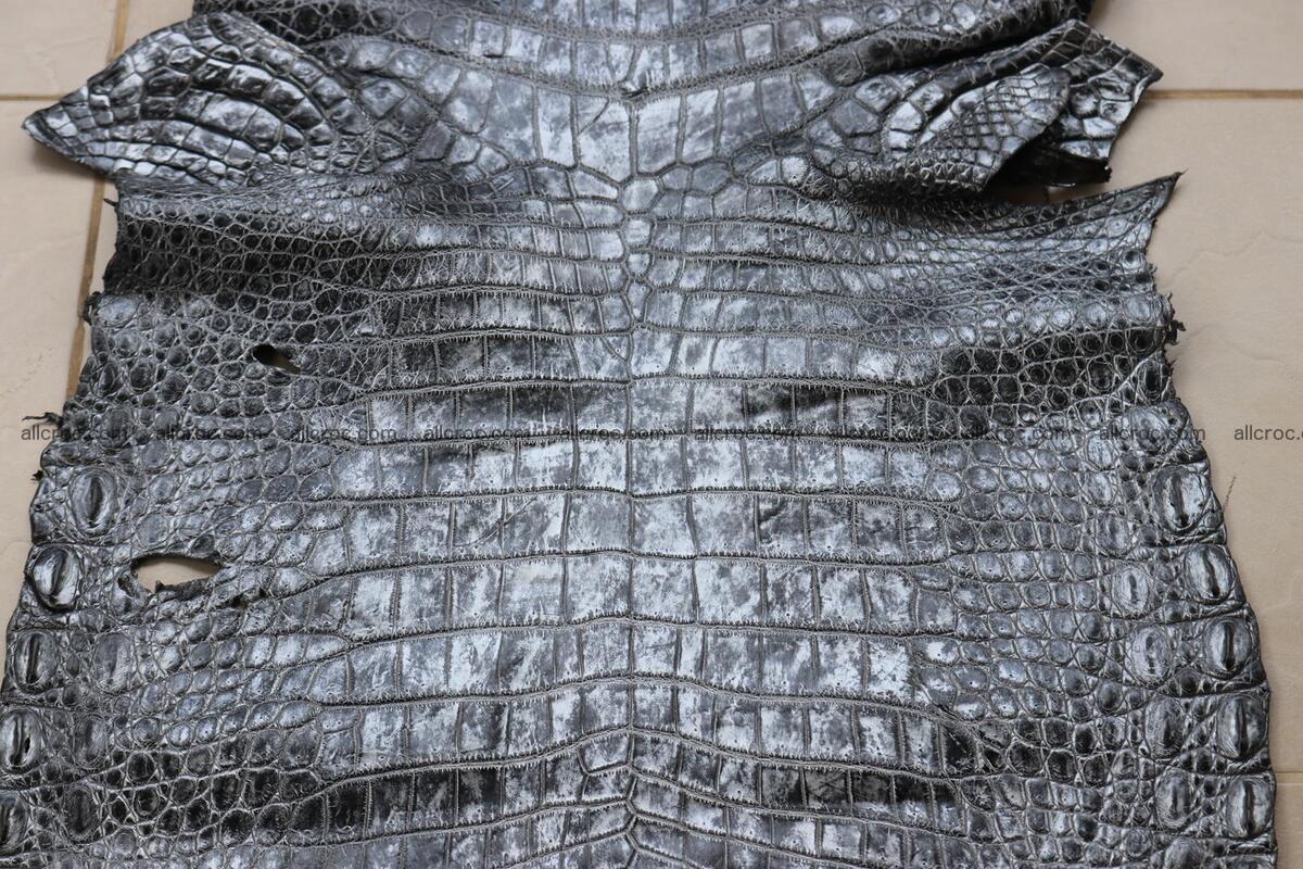 Crocodile skin belly part brush off silver color 1250 Foto 5