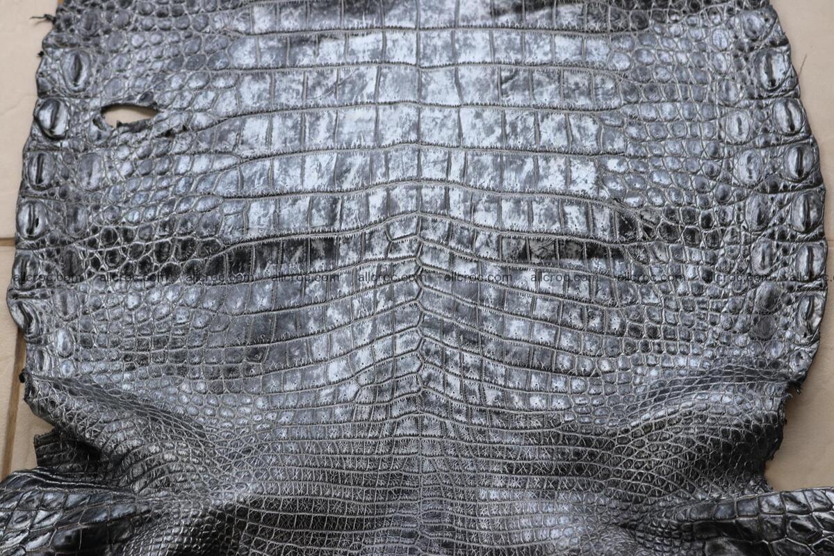 Crocodile skin belly part brush off silver color 1250 Foto 0