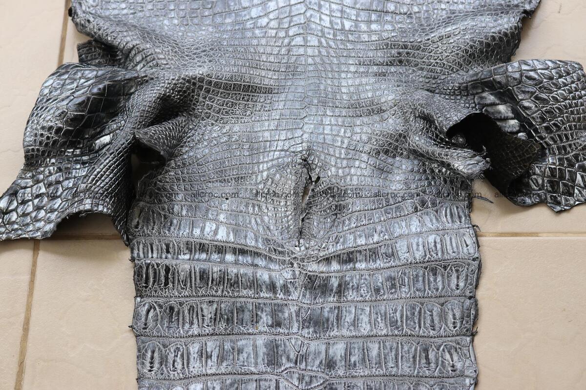 Crocodile skin belly part brush off silver color 1250 Foto 4