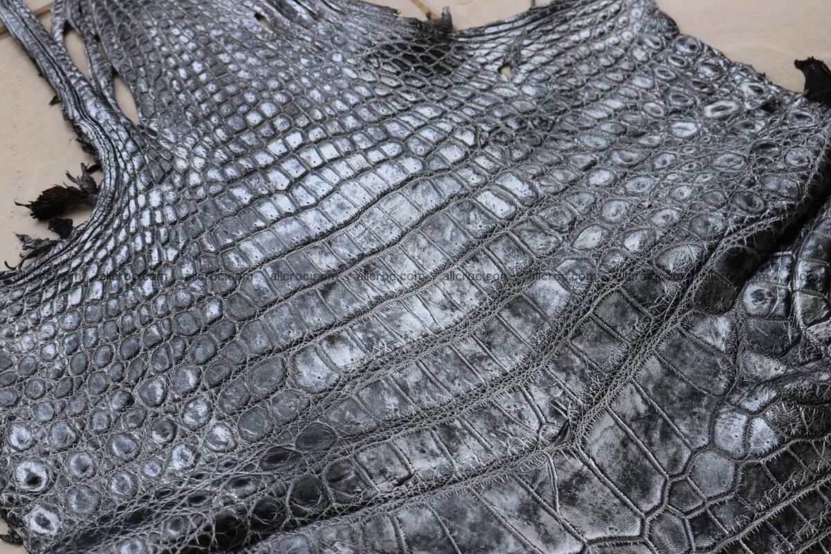 Crocodile skin belly part brush off silver color 1250 Foto 11