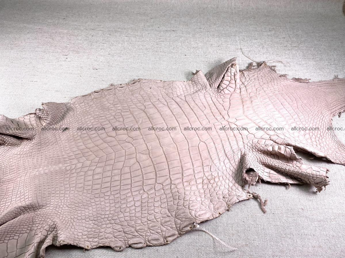 Crocodile skin belly part 31cm cappuccino color 1473 Foto 2