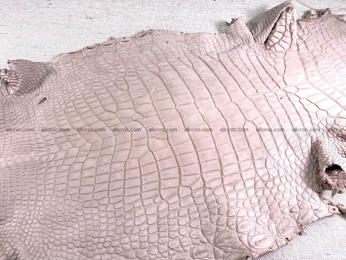 Crocodile skin belly part 31cm cappuccino color 1473 Foto 3