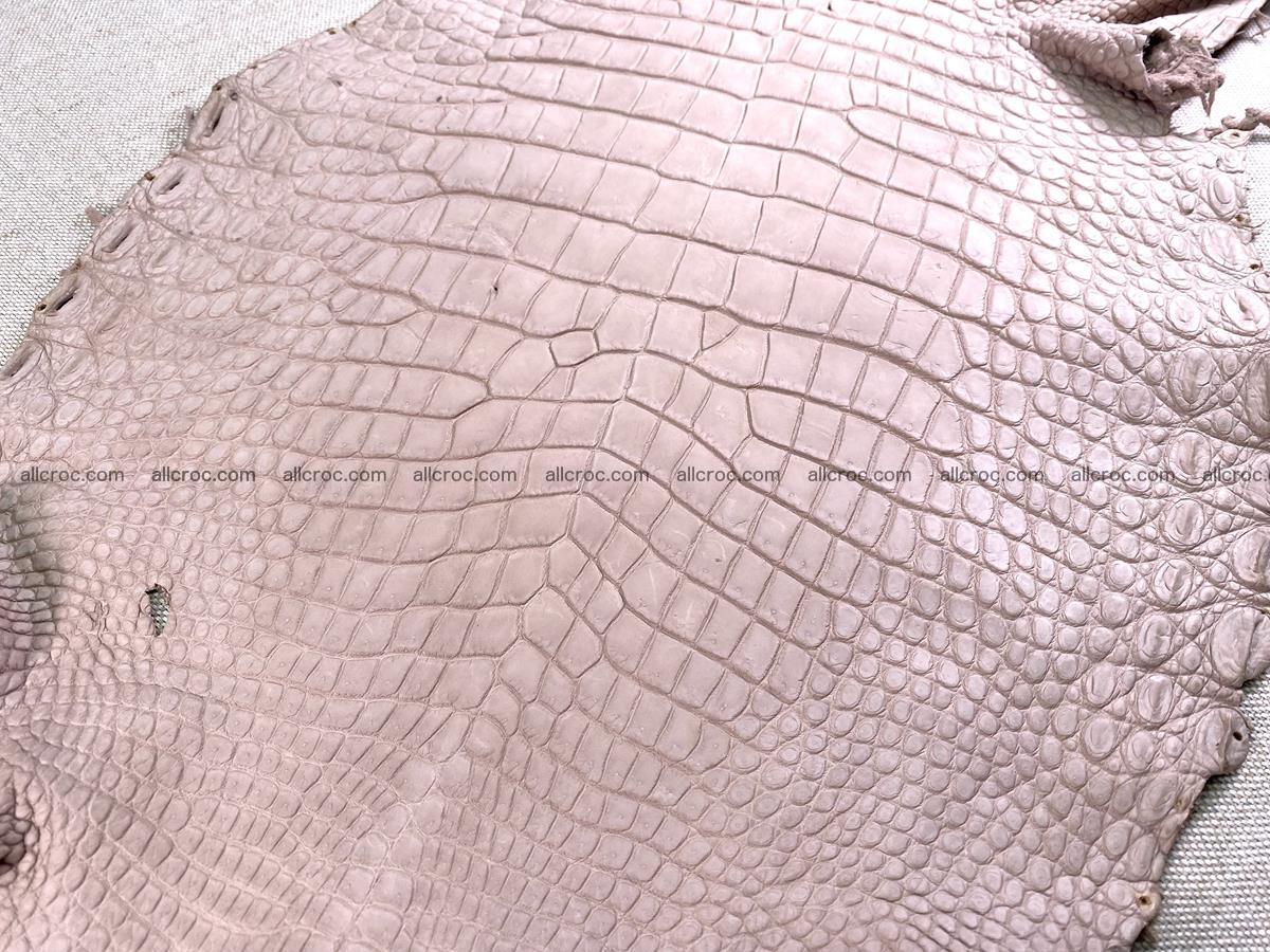 Crocodile skin belly part 31cm cappuccino color 1473 Foto 7