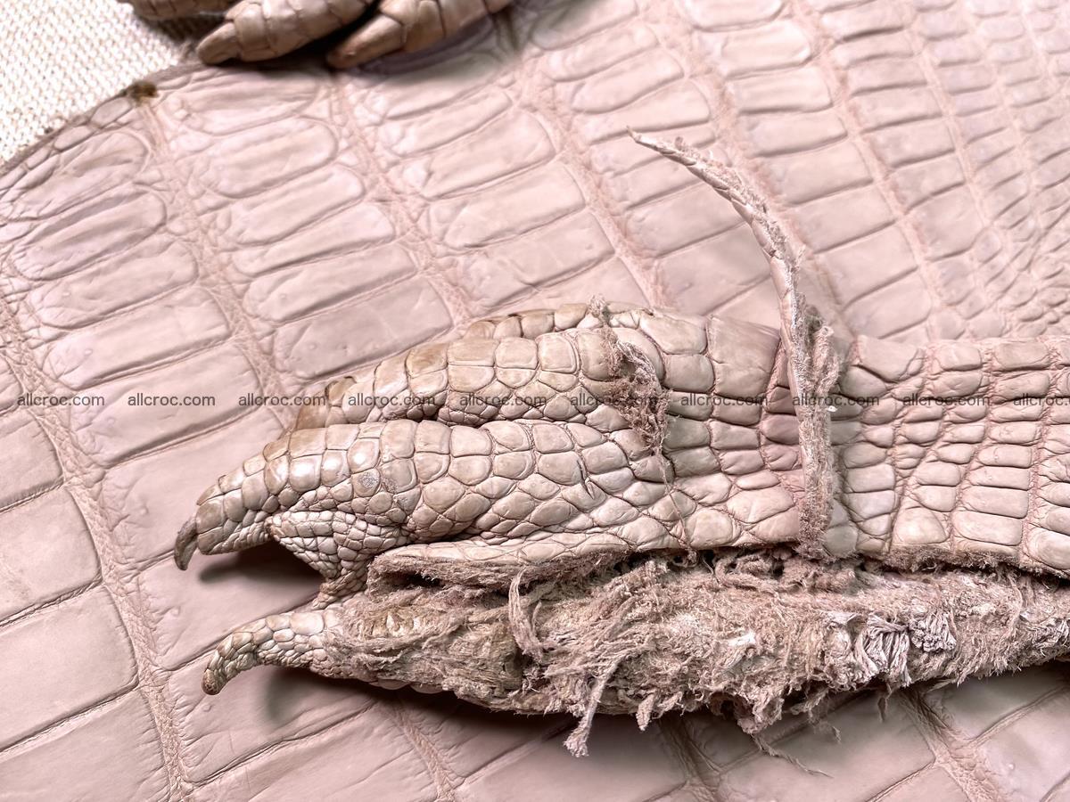 Crocodile skin belly part 31cm cappuccino color 1473 Foto 10