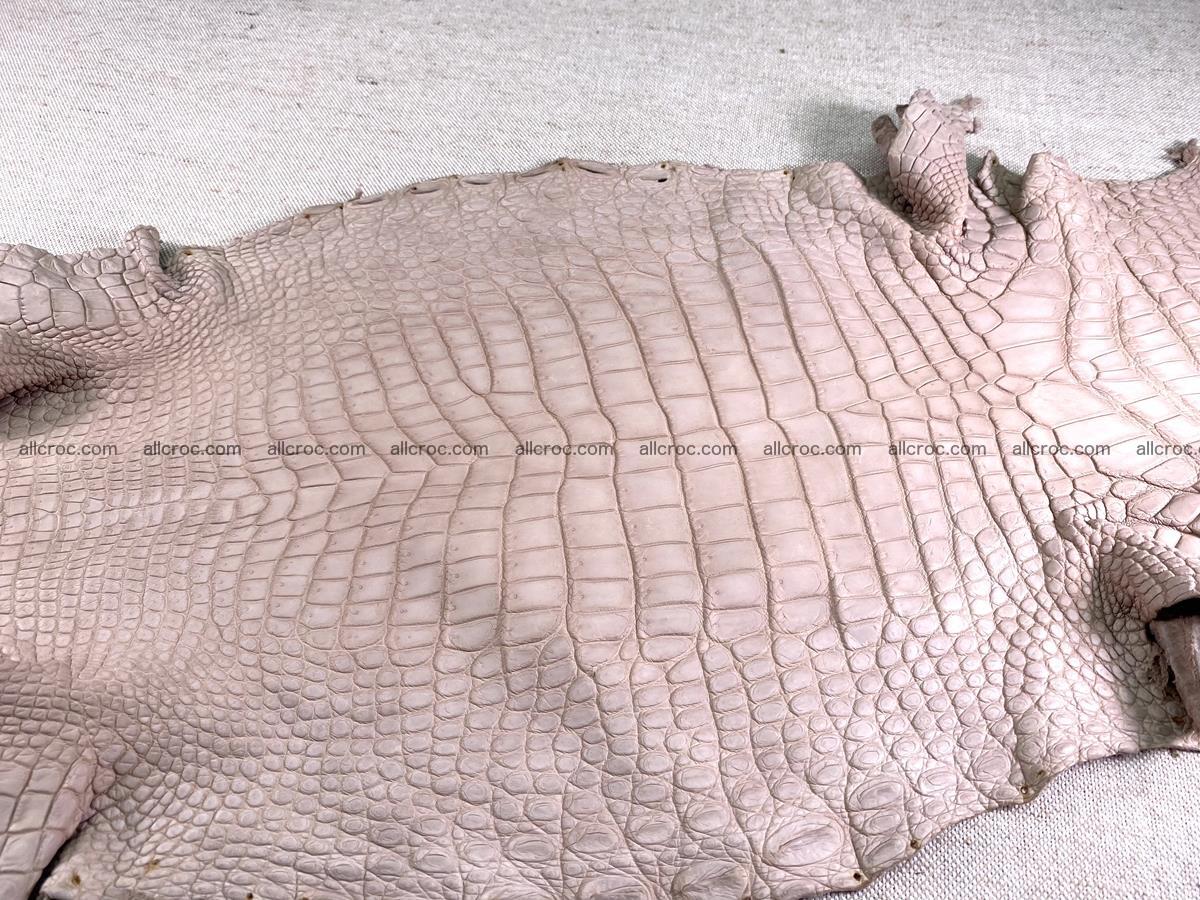 Crocodile skin belly part 30cm cappuccino color 1474 Foto 3