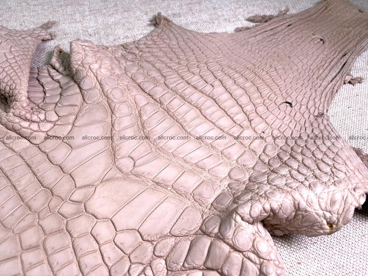 Crocodile skin belly part 30cm cappuccino color 1474 Foto 5