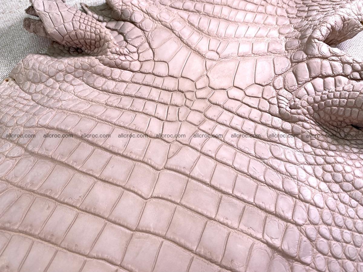 Crocodile skin belly part 30cm cappuccino color 1474 Foto 6
