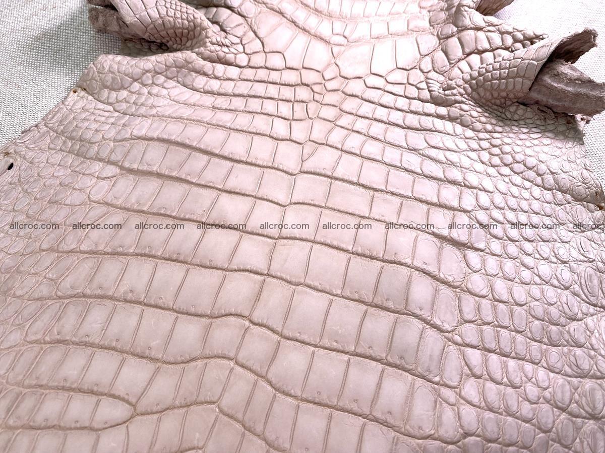 Crocodile skin belly part 30cm cappuccino color 1474 Foto 0