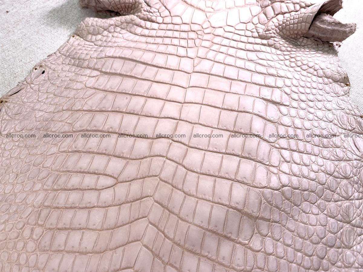 Crocodile skin belly part 30cm cappuccino color 1474 Foto 4