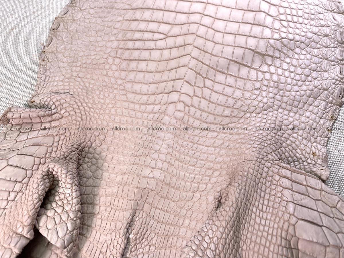 Crocodile skin belly part 30cm cappuccino color 1474 Foto 2
