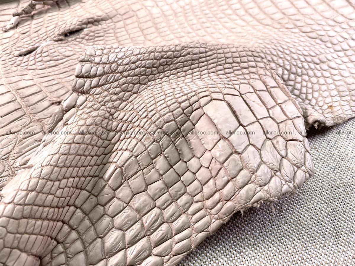 Crocodile skin belly part 30cm cappuccino color 1474 Foto 7