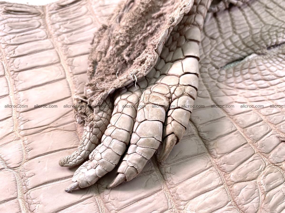 Crocodile skin belly part 30cm cappuccino color 1474 Foto 8