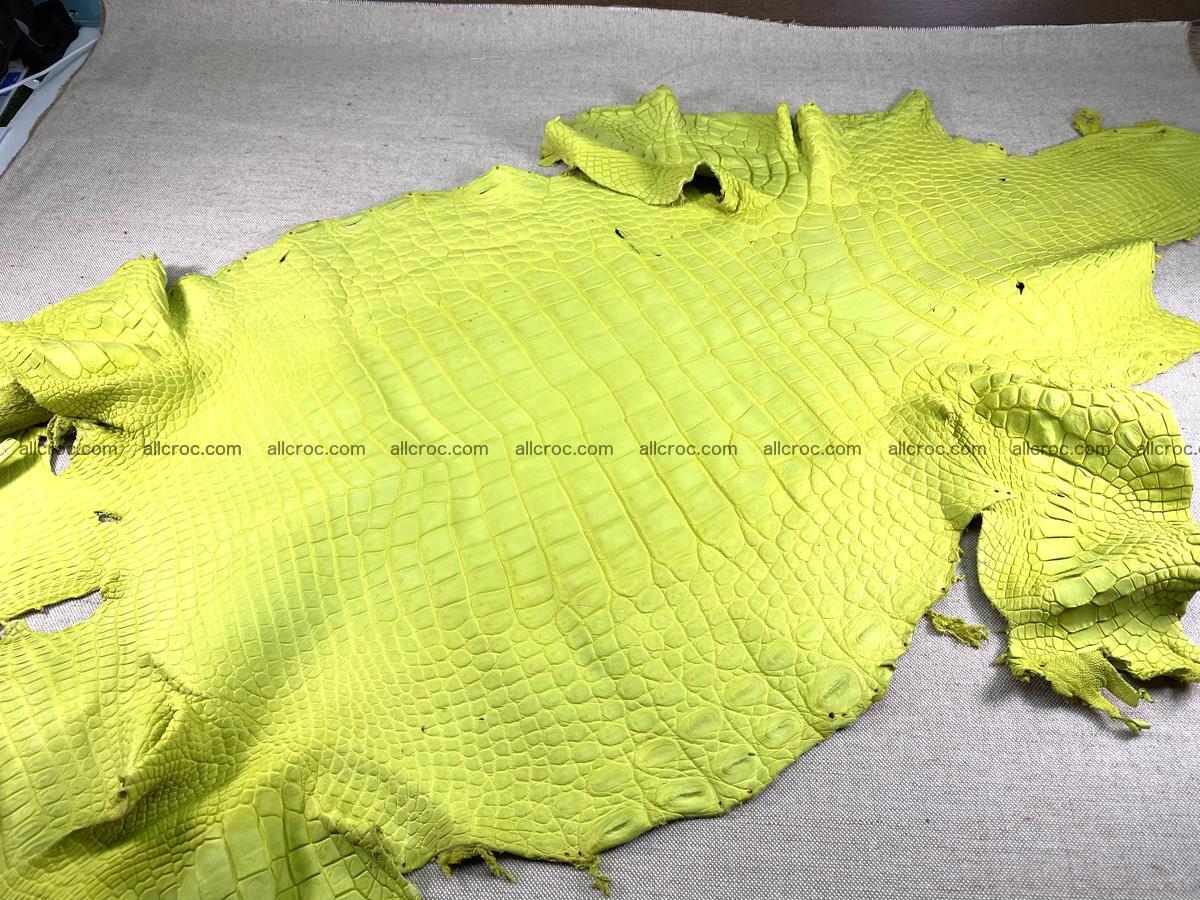 Crocodile skin belly part 49cm acid yellow color 1482 Foto 4