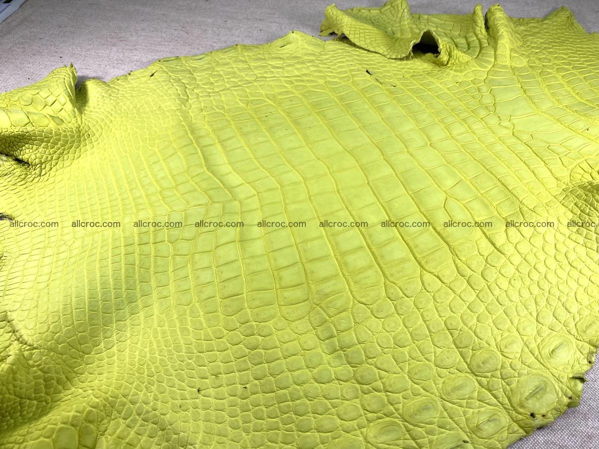 Crocodile skin belly part 49cm acid yellow color 1482 Foto 1