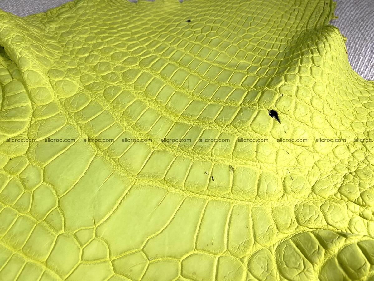 Crocodile skin belly part 49cm acid yellow color 1482 Foto 2