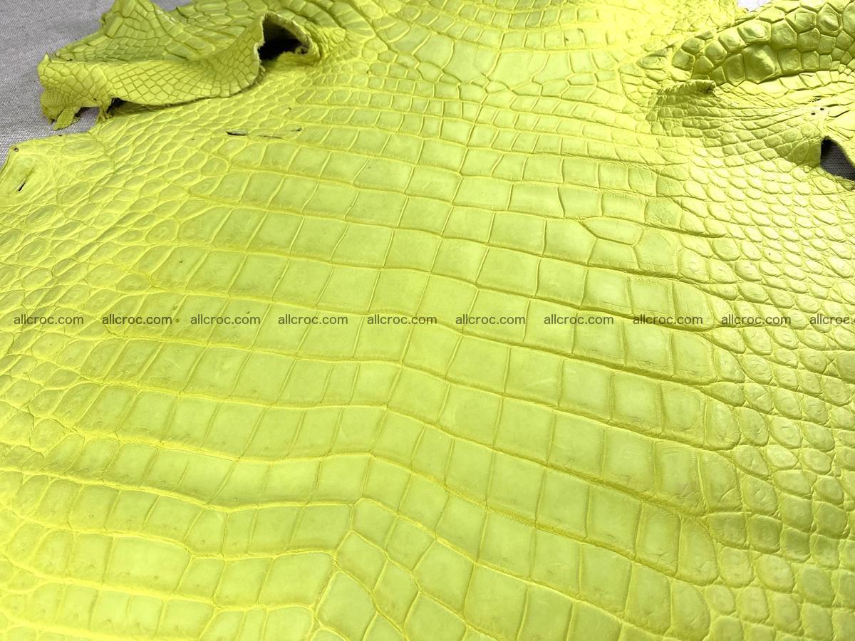 Crocodile skin belly part 49cm acid yellow color 1482 Foto 3