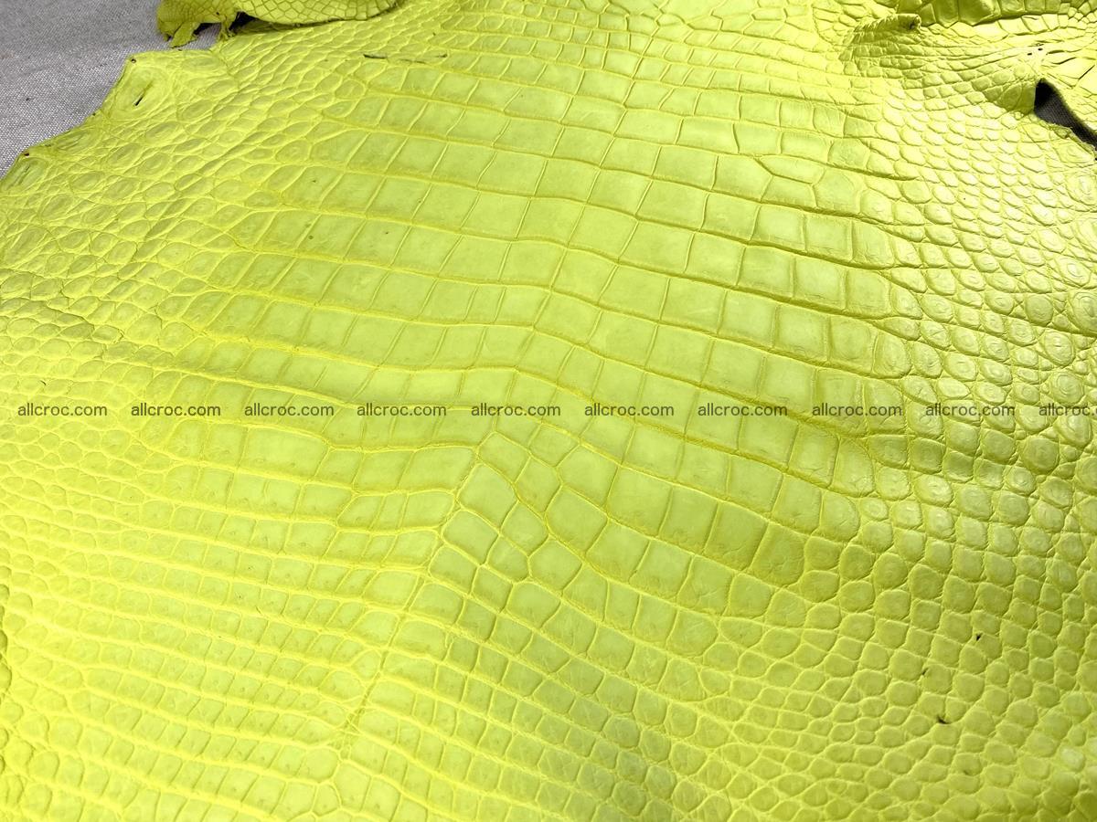Crocodile skin belly part 49cm acid yellow color 1482 Foto 0