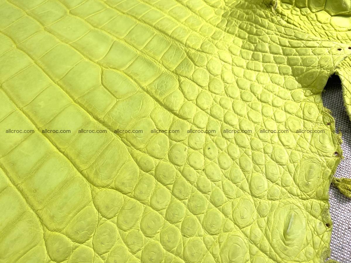 Crocodile skin belly part 49cm acid yellow color 1482 Foto 8