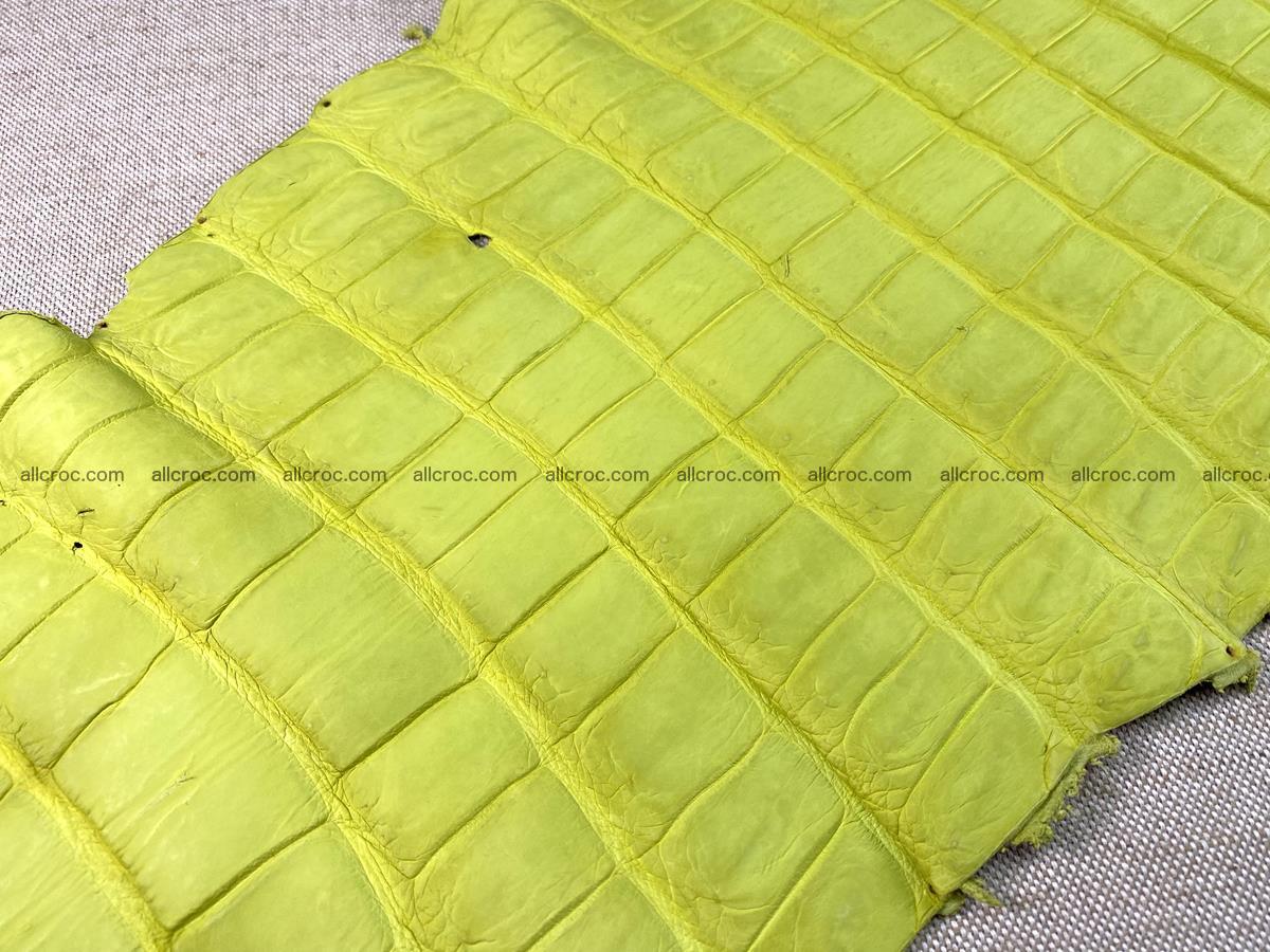 Crocodile skin belly part 49cm acid yellow color 1482 Foto 7
