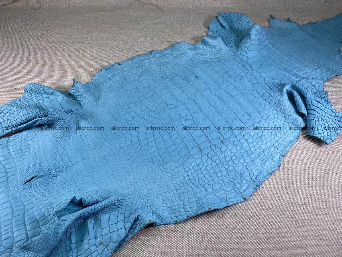 Crocodile skin belly part 35cm azure color 1512 Foto 2