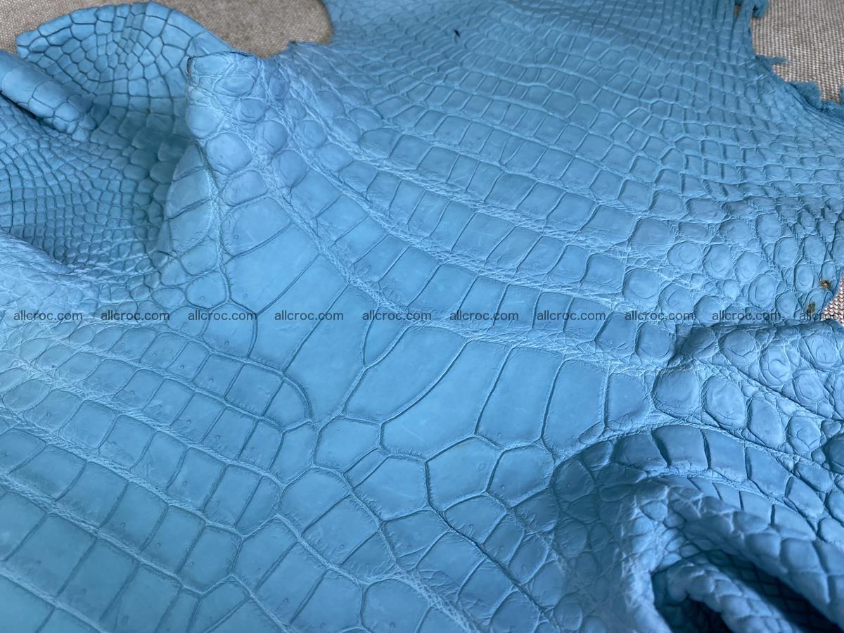Crocodile skin belly part 35cm azure color 1512 Foto 3