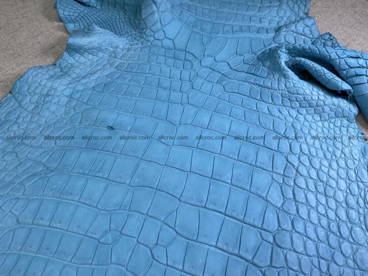 Crocodile skin belly part 35cm azure color 1512 Foto 4