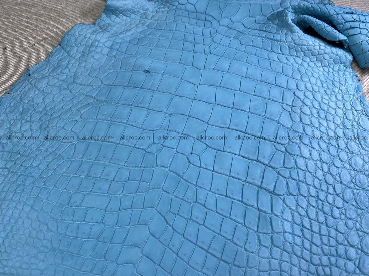 Crocodile skin belly part 35cm azure color 1512 Foto 0