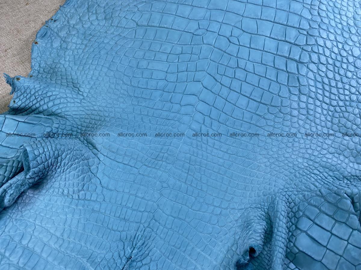Crocodile skin belly part 35cm azure color 1512 Foto 6
