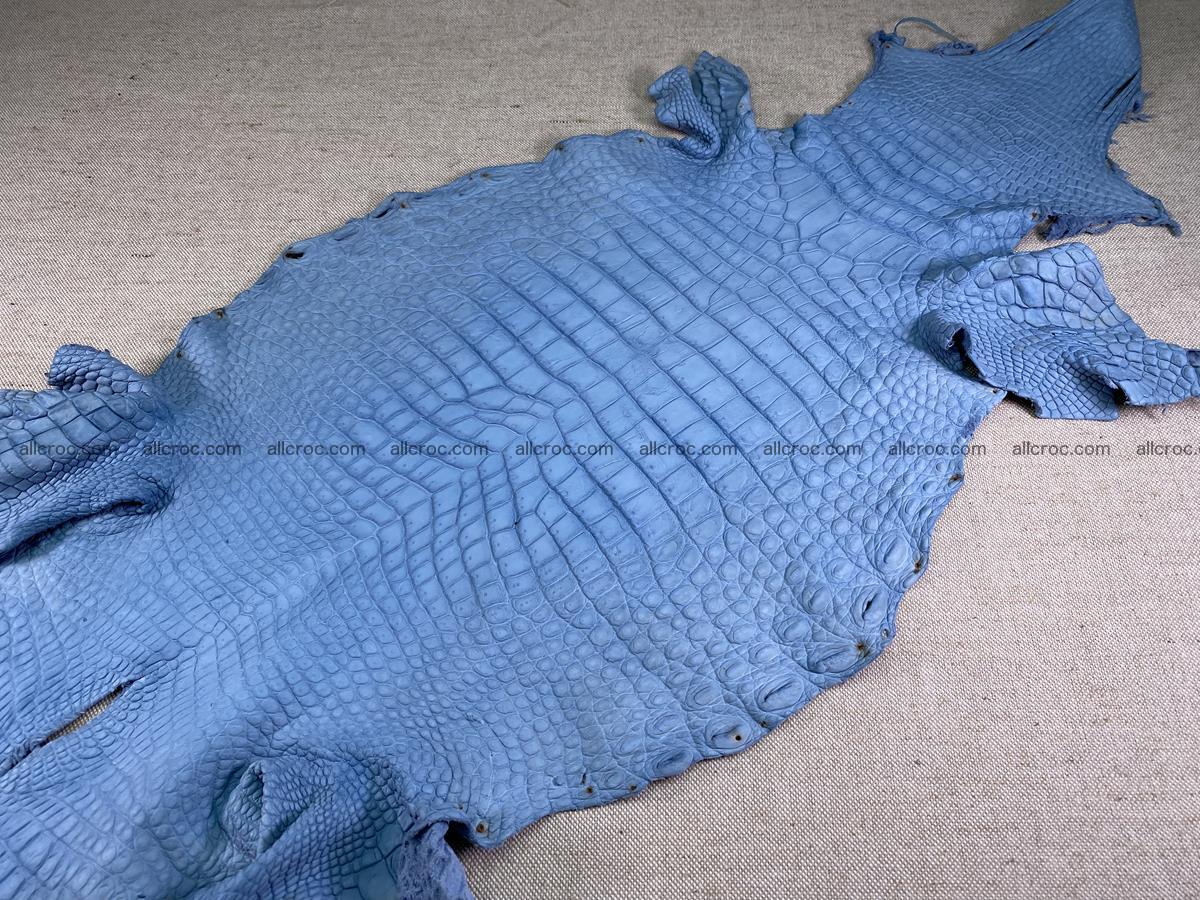 Crocodile skin belly part 32cm baby blue color 1513 Foto 2