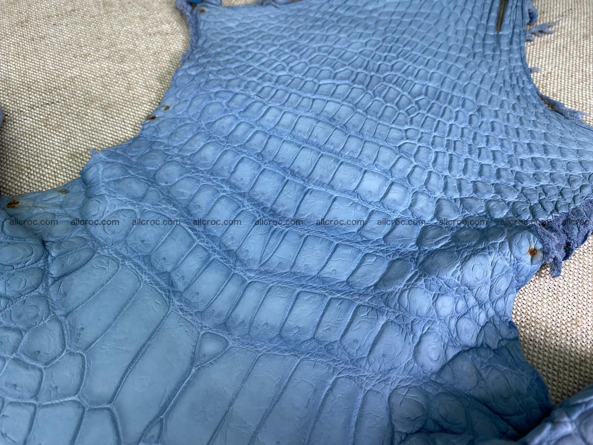 Crocodile skin belly part 32cm baby blue color 1513 Foto 3