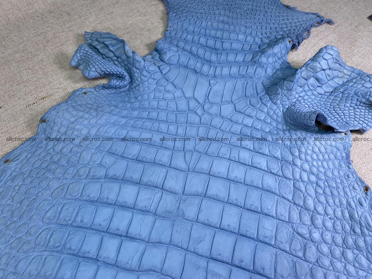 Crocodile skin belly part 32cm baby blue color 1513 Foto 4