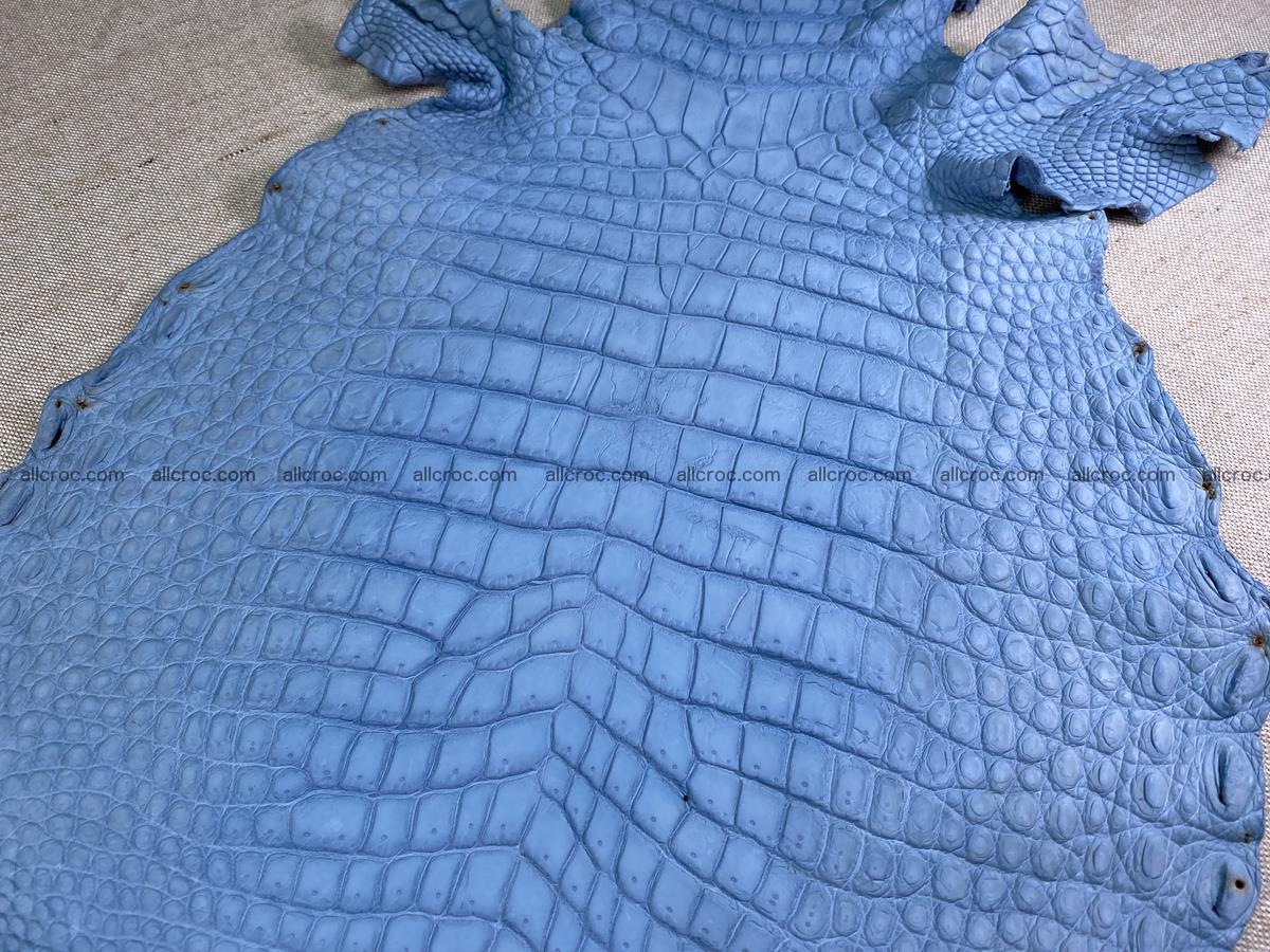 Crocodile skin belly part 32cm baby blue color 1513 Foto 0