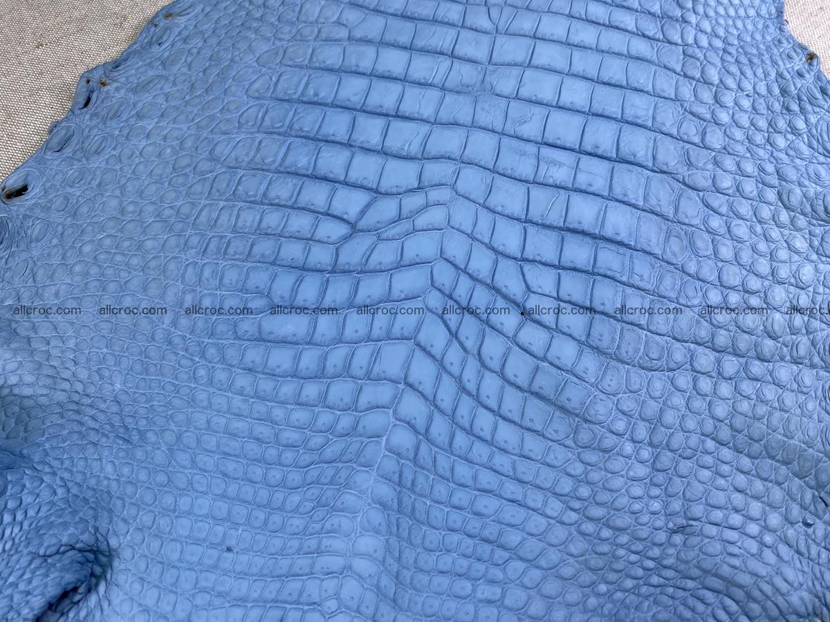 Crocodile skin belly part 32cm baby blue color 1513 Foto 5