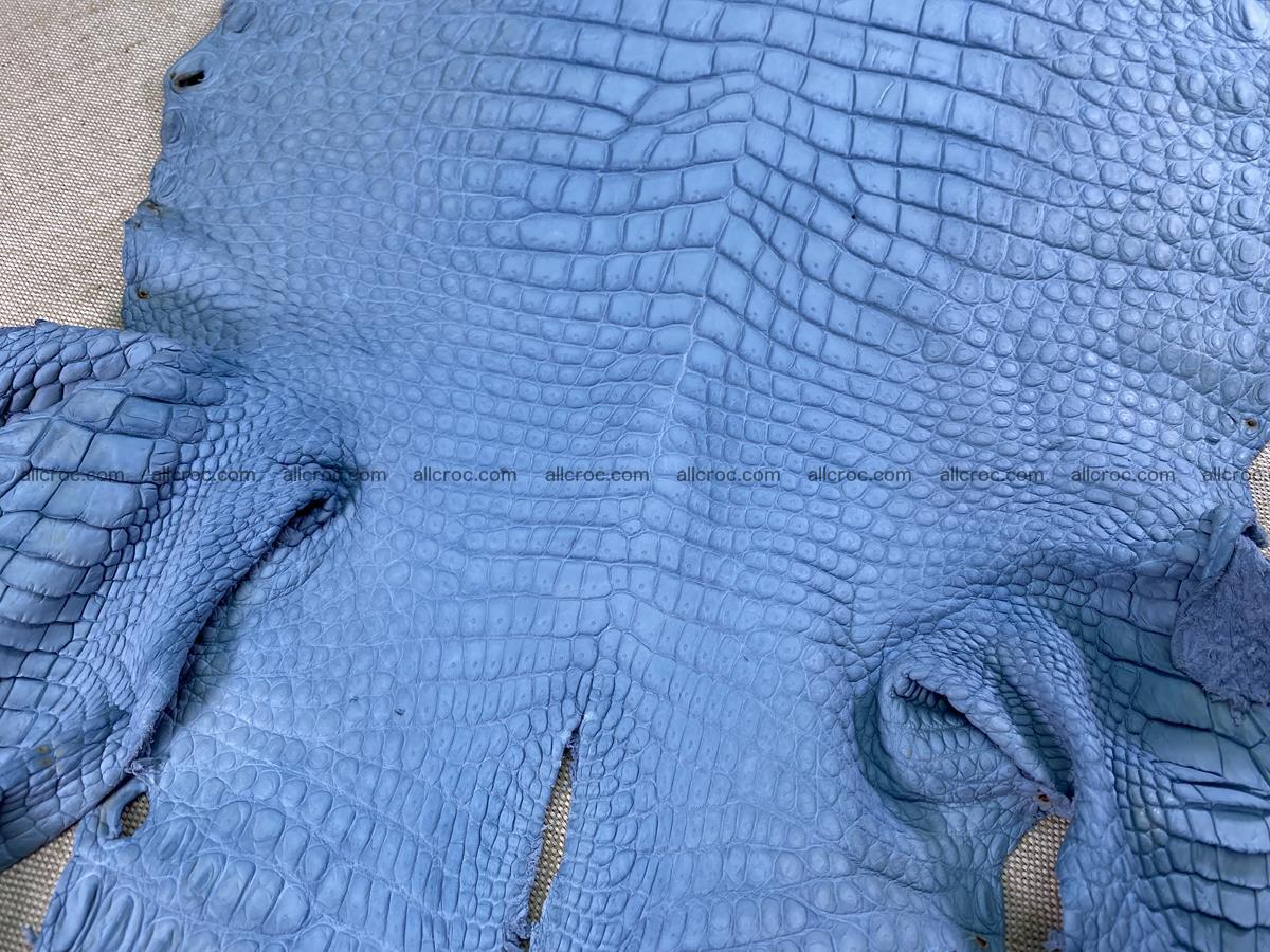 Crocodile skin belly part 32cm baby blue color 1513 Foto 6