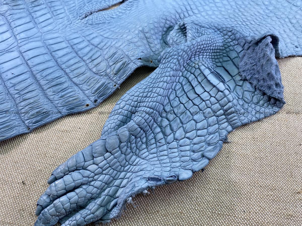 Crocodile skin belly part 32cm baby blue color 1513 Foto 8