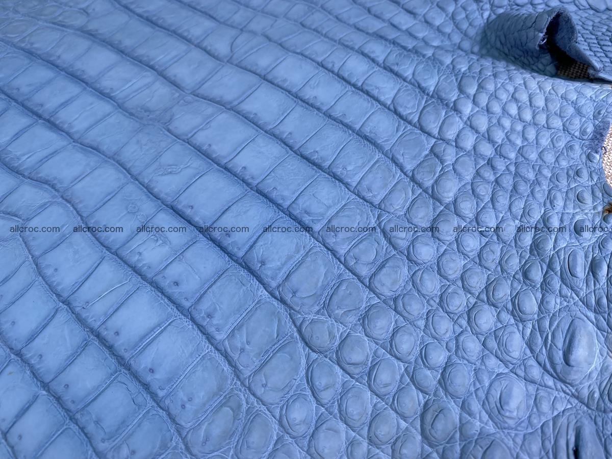 Crocodile skin belly part 32cm baby blue color 1513 Foto 1